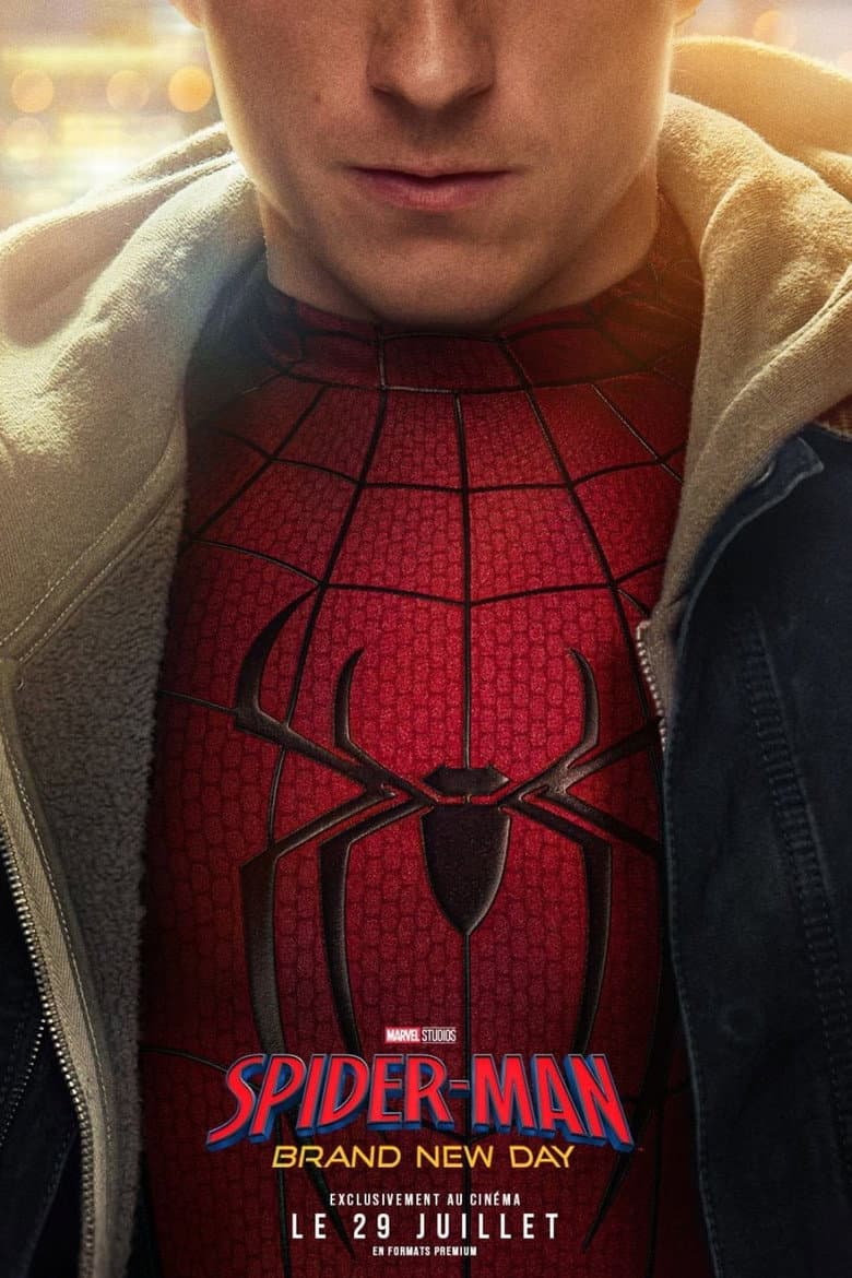 Affiche du film Spider-Man : Brand New Day